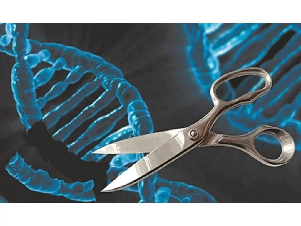 Misteri Jalur Sel Kanker Terungkap! Teknologi Korea Buka Rahasia Gerakan Sel